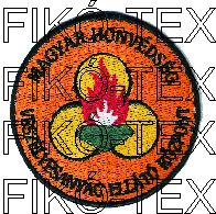 1-199 // MH Veszélyesanyag Ellátó Központ